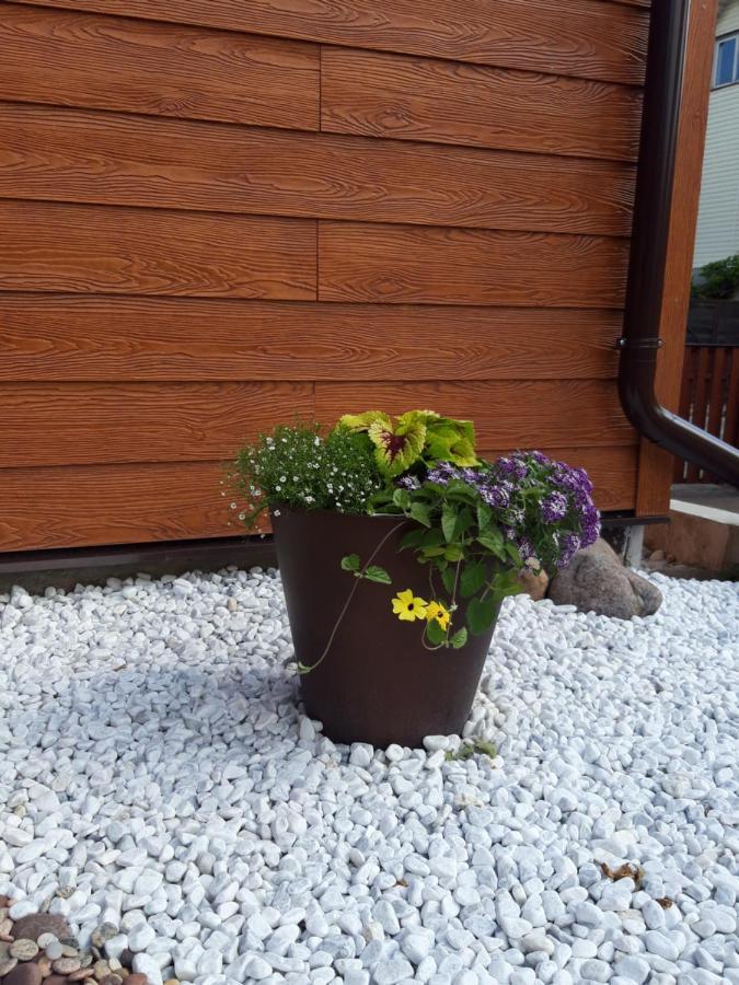 Liux Apartamentai 考纳斯 外观 照片
